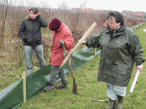 ... beim Aufbau eines Krötenzauns