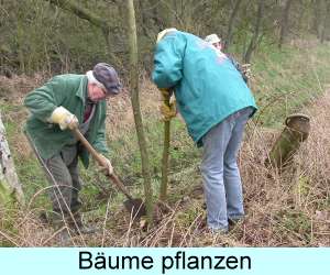Bäume pflanzen