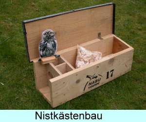 Nistkästenbau
